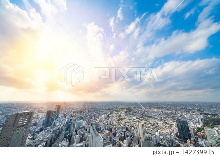 Panoramic aerial view of tokyo cityscape, skyline and urban sprawl from shibuya, japan, under dramatic sun glare, cloud and sunset sky and copy space Panoramic aerial view of tokyo cityscape, skyline and urban sprawl from shibuya, japan, under dramatic sun glare, cloud and sunset sky and copy space 142739915