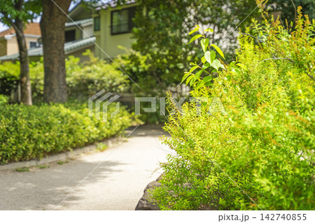 杉並区立和田公園 142740855