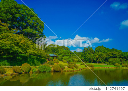 日本庭園の池と緑 日本庭園の池と緑 142741497