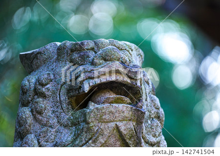 淡島神社 142741504