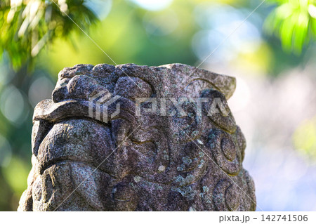 淡島神社 142741506