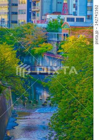目黒区の川沿いの建物 目黒区の川沿いの建物 142741562