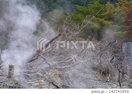 雲仙地獄 雲仙地獄 142741959