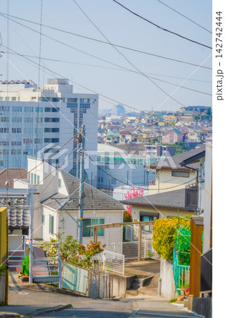 東白楽の住宅街をまっすぐ下る細い坂道 東白楽の住宅街をまっすぐ下る細い坂道 142742444