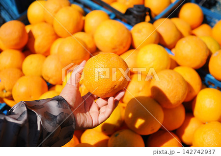Hand holding an orange among many more oranges in a market Hand holding an orange among many more oranges in a market 142742937