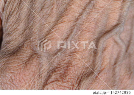Skin texture with wrinkles showing aging features in natural light Skin texture with wrinkles showing aging features in natural light 142742950