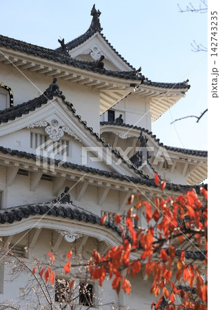 紅葉越しに望む世界遺産姫路城大天守の破風と鯱 日本の秋と伝統美を伝える観光広告素材 縦構図 142743235