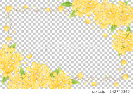 Osmanthus (decorative frame) 1 142743340
