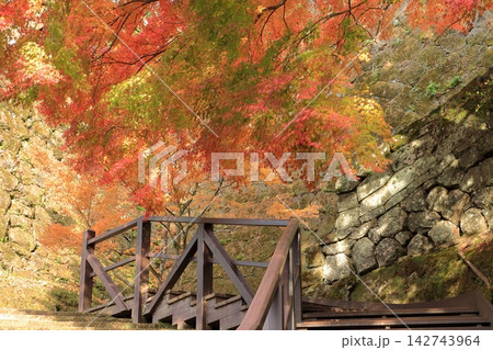 城跡の紅葉 城跡の紅葉 142743964