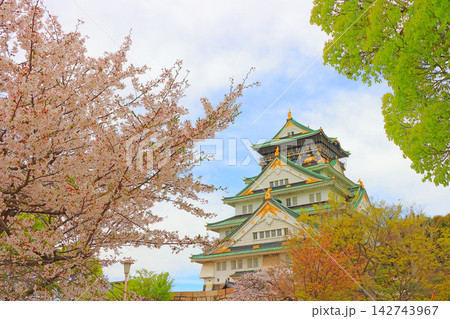 大阪府大阪市、桜と大阪城の風景 大阪府大阪市、桜と大阪城の風景 142743967