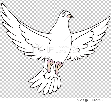 手繪動物插畫☆白鴿 手繪動物插畫☆白鴿 142746398