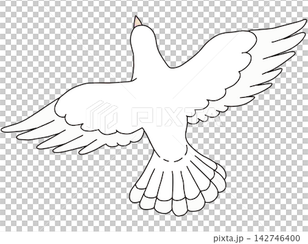 手繪動物插畫☆白鴿 手繪動物插畫☆白鴿 142746400