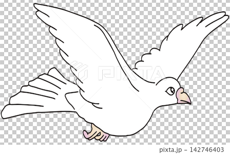手繪動物插畫☆白鴿 手繪動物插畫☆白鴿 142746403
