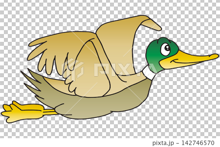 手繪動物插畫 ☆ 綠頭鴨 手繪動物插畫 ☆ 綠頭鴨 142746570