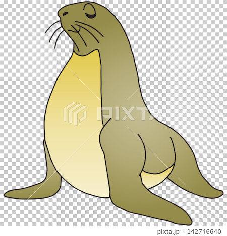 手繪動物插畫☆海獅 142746640