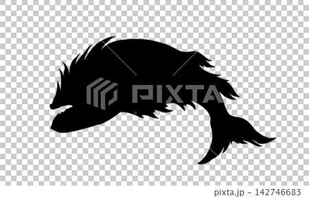 南魚座的輪廓(不含星座線) 南魚座的輪廓(不含星座線) 142746683