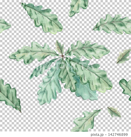 Seamless pattern of green oak leaves. Isolated illustration for eco-branding, packaging, textile printing, wedding decor, scrapbooking, and wallpaper. Tea blend packaging and craft cheese branding. 142746899