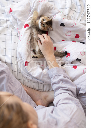 Woman petting a kitten on a bed at home in an overhead view Woman petting a kitten on a bed at home in an overhead view 142747749