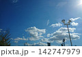 青い空と街灯 142747979