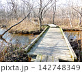 北海道苫小牧市 ウトナイ湖の遊歩道(2023年11月撮影) 142748349