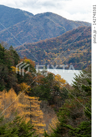 紅葉の中禅寺湖 紅葉の中禅寺湖 142748381