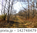 北海道苫小牧市 ウトナイ湖近辺の風景(2023年11月撮影) 142748479