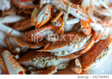 Fresh cooked blue swimming crabs bright orange shells claws piled together as delicious seafood for restaurant dining coastal cuisine Fresh cooked blue swimming crabs bright orange shells claws piled together as delicious seafood for restaurant dining coastal cuisine 142748491