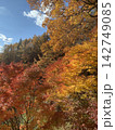 秋の行楽シーズンに咲き誇る鮮やかな紅葉と秋空の絶景 142749085
