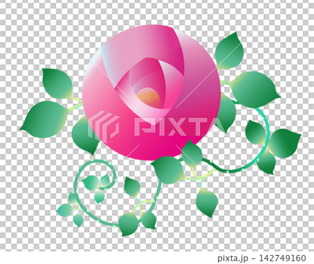 Roses Roses 142749160