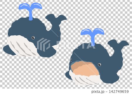 鯨魚毛絨玩具插畫套裝(嘴巴閉合,嘴巴張開) 鯨魚毛絨玩具插畫套裝(嘴巴閉合,嘴巴張開) 142749659