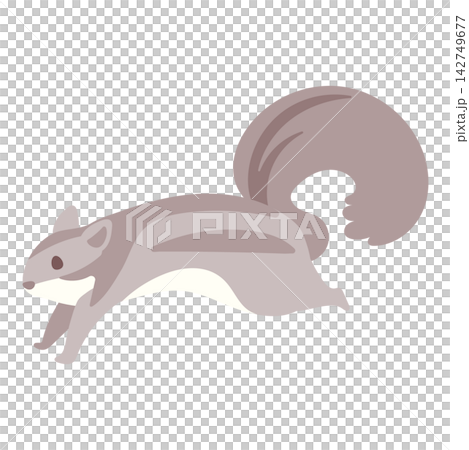 A full-body illustration of a squirrel leaping with its large tail spread wide. A full-body illustration of a squirrel leaping with its large tail spread wide. 142749677