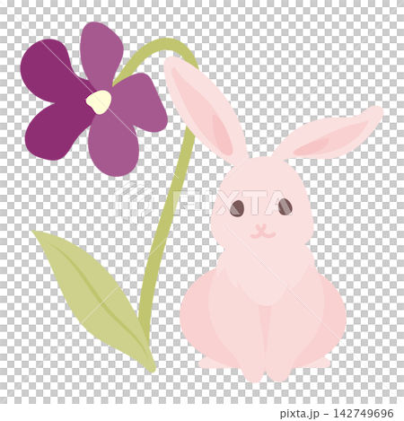 スミレの花のそばに座るピンクのうさぎのイラスト スミレの花のそばに座るピンクのうさぎのイラスト 142749696