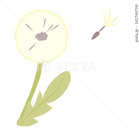 飛んでいく種を描いたタンポポの綿毛のイラスト 飛んでいく種を描いたタンポポの綿毛のイラスト 142749708