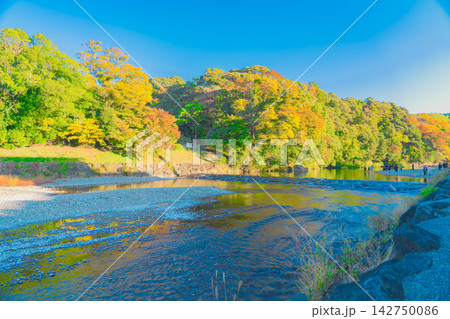 伊勢神宮の美しい風景 伊勢神宮の美しい風景 142750086