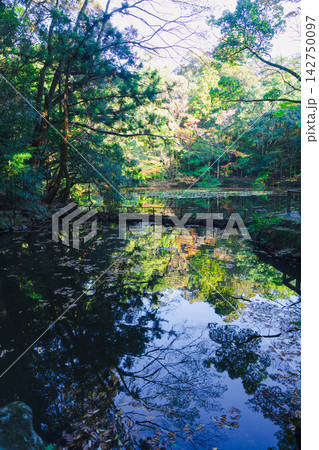 伊勢神宮の美しい風景 伊勢神宮の美しい風景 142750097