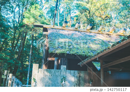 伊勢神宮の美しい風景 伊勢神宮の美しい風景 142750117