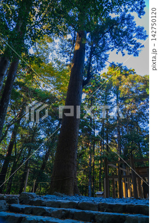 伊勢神宮の美しい風景 伊勢神宮の美しい風景 142750120
