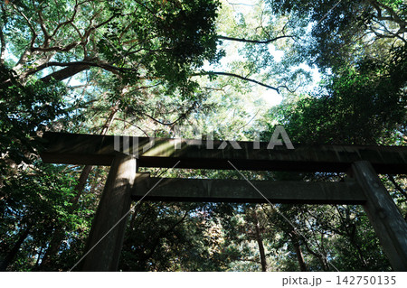 伊勢神宮の美しい風景 伊勢神宮の美しい風景 142750135