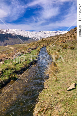A clear spring stream flows through alpine landscape with snow-capped peaks of Sierra Nevada Mountains lush valley meadow in Spain A clear spring stream flows through alpine landscape with snow-capped peaks of Sierra Nevada Mountains lush valley meadow in Spain 142750257