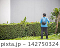 A Gardening with a brushcutter in the day time, focus selective. 142750324