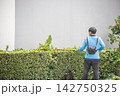A Gardening with a brushcutter in the day time, focus selective. 142750325