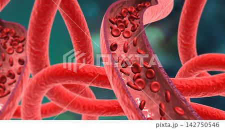 Artery red blood cells streams Artery red blood cells streams 142750546