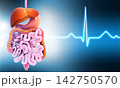 Human digestive system 142750570
