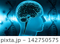 Virus attacking dna with human body 142750575