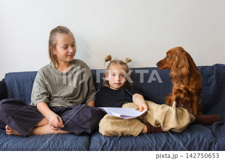 Cheerful children playing dog sitting on sofa at home. Kids and red cocker spaniel pet 142750653