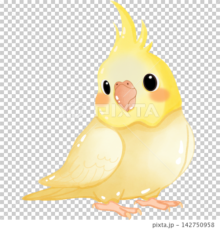 A little golden yellow parrot 142750958