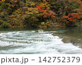 清流と紅葉 142752379