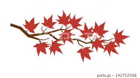 紅葉の枝のシンプルなイラスト 142752508