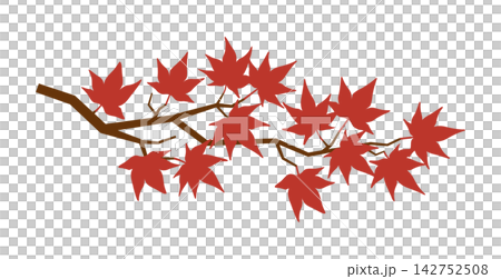 紅葉の枝のシンプルなイラスト 142752508