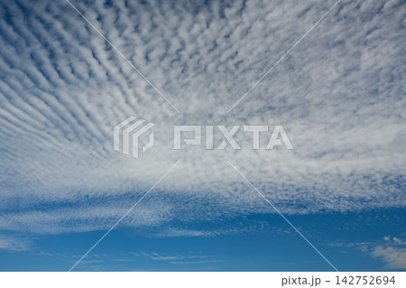 秋の空_5274 142752694